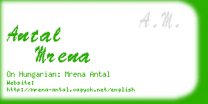 antal mrena business card